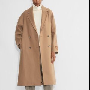 Aritzia Babaton Slouch coat